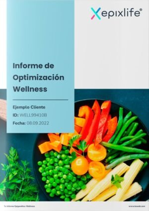 Informe de Optimización Wellness